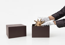 Load image into Gallery viewer, Klara Kristalova - Sleeping Sun