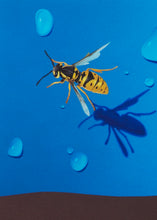 Load image into Gallery viewer, Oli Epp - Wet Weather Warning