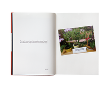 Load image into Gallery viewer, Sophie Calle - Because