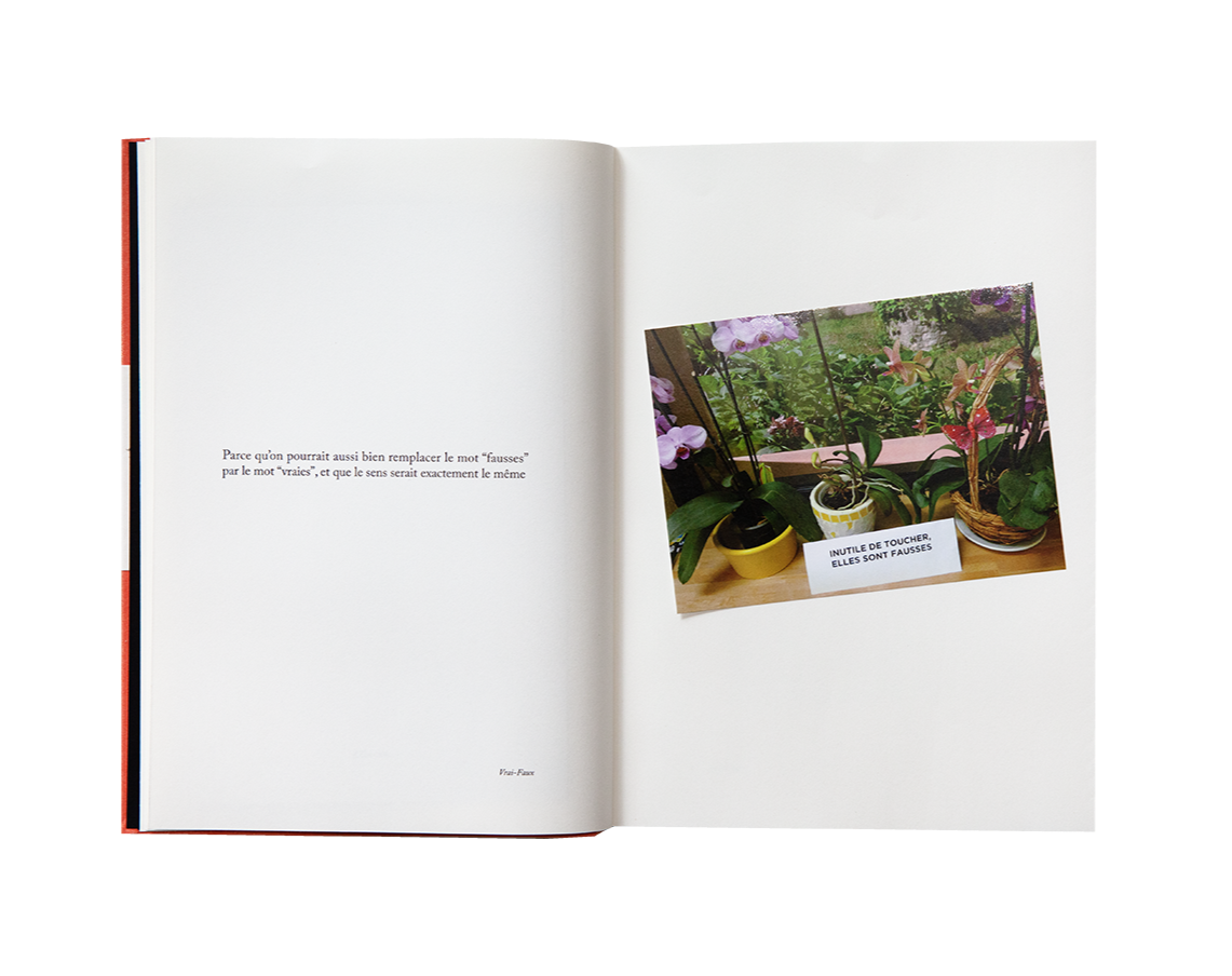 Sophie Calle - Because