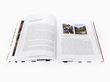 Load image into Gallery viewer, Takashi Murakami - Battle Royale! Japanese Art History (Nobuo Tsuji vs. Takashi Murakami)