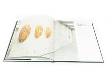 Load image into Gallery viewer, Johan Creten - Naked Roots