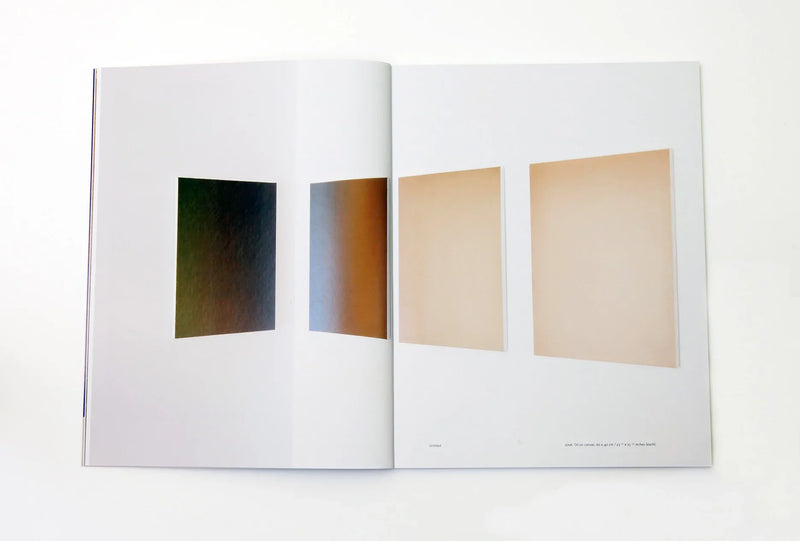 Pieter Vermeersch - Self Titled Perrotin Monograph (Available Signed)