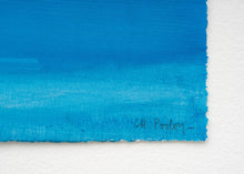 Load image into Gallery viewer, Christiane Pooley - In Patagonia