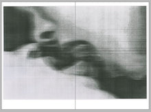 Load image into Gallery viewer, Hard Copy New York Zine