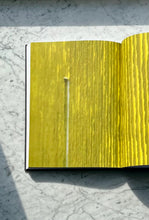 Load image into Gallery viewer, Park Seo-Bo - Self Titled Perrotin Monograph