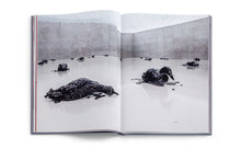 Load image into Gallery viewer, Monira Al Qadiri - Mutant Passages (Available Signed)