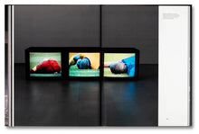 Load image into Gallery viewer, Paul Pfeiffer - Prologue to the Story of the Birth of Freedom