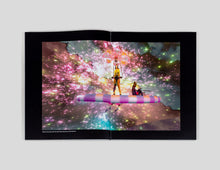 Load image into Gallery viewer, The Culture: Hip Hop & Contemporary Art in the 21st Century (feat. Zéh Palito)