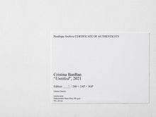 Load image into Gallery viewer, Cristina BanBan - Untitled, 2021