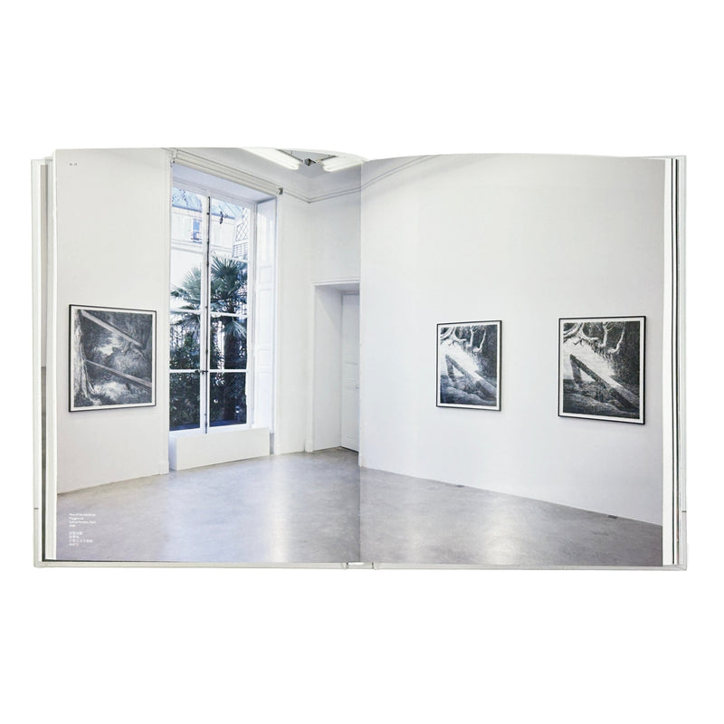 Daniel Arsham - Self Titled Perrotin Monograph