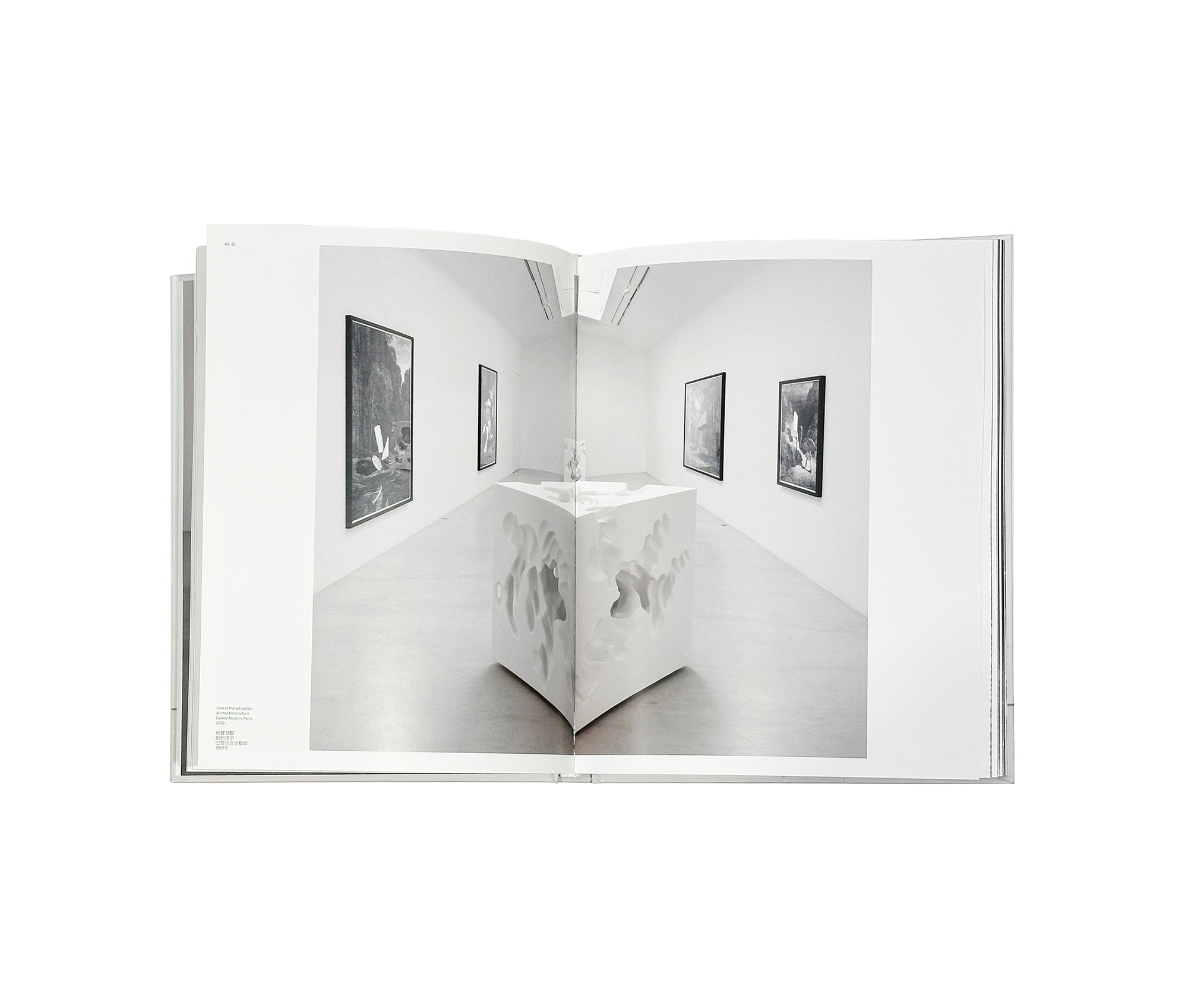 Daniel Arsham - Self Titled Perrotin Monograph
