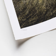 Load image into Gallery viewer, JR - Empreinte, Chauvet, France, 2023