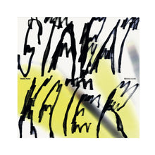 Load image into Gallery viewer, Gregor Hildebrandt - Stabat Kater LP