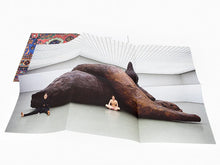 Load image into Gallery viewer, Gelitin - Vorm Fellows Attitude