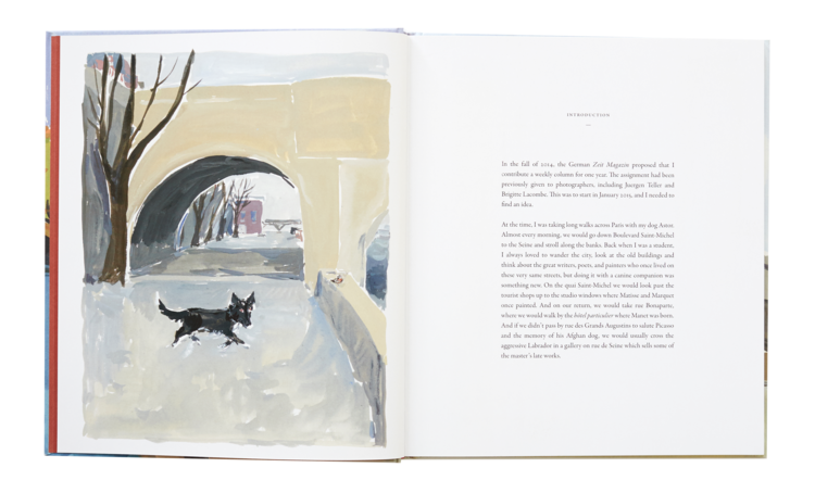 Jean Philippe Delhomme - A Paris Journal