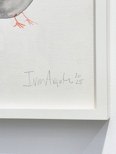 Iván Argote - Companion, 2025 (01)