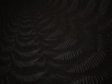 Load image into Gallery viewer, Julian Charrière - Dicksonia Antarctica