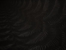 Load image into Gallery viewer, Julian Charrière - Dicksonia Antarctica