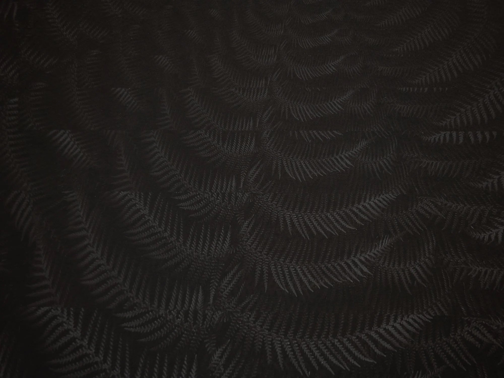 Julian Charrière - Dicksonia Antarctica