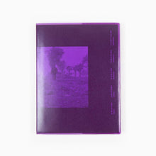 Load image into Gallery viewer, Jesper Just - Intercourses