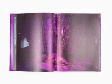 Load image into Gallery viewer, Jesper Just - Intercourses