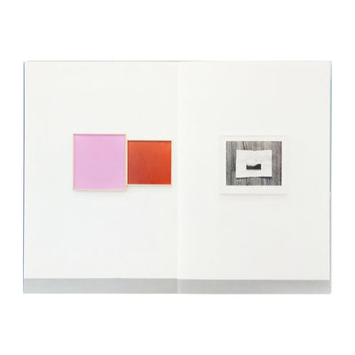 Leslie Hewitt - Set Theory (Signed)