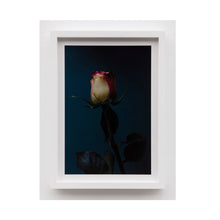 Load image into Gallery viewer, Pamela Berkovic - Untitled (Flower II) 2023