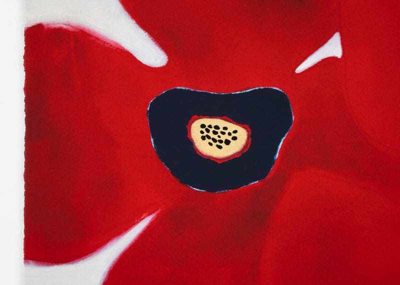Susumu Kamijo - The Blossoms of the Sun