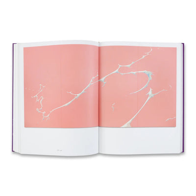 Takashi Murakami - © Copyright Murakami