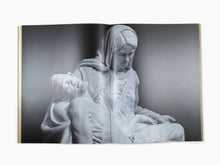 Load image into Gallery viewer, Tavares Strachan - In Broad Daylight