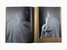 Load image into Gallery viewer, Tavares Strachan - In Broad Daylight