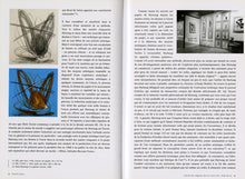 Load image into Gallery viewer, Hans Hartung - 10 Perspectives (English)