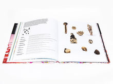 Load image into Gallery viewer, Takashi Murakami - Lineage of Eccentrics