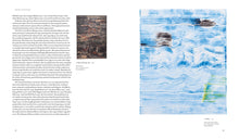 Load image into Gallery viewer, Bernard Frize - Self Titled Monograph (by David Rhodes)