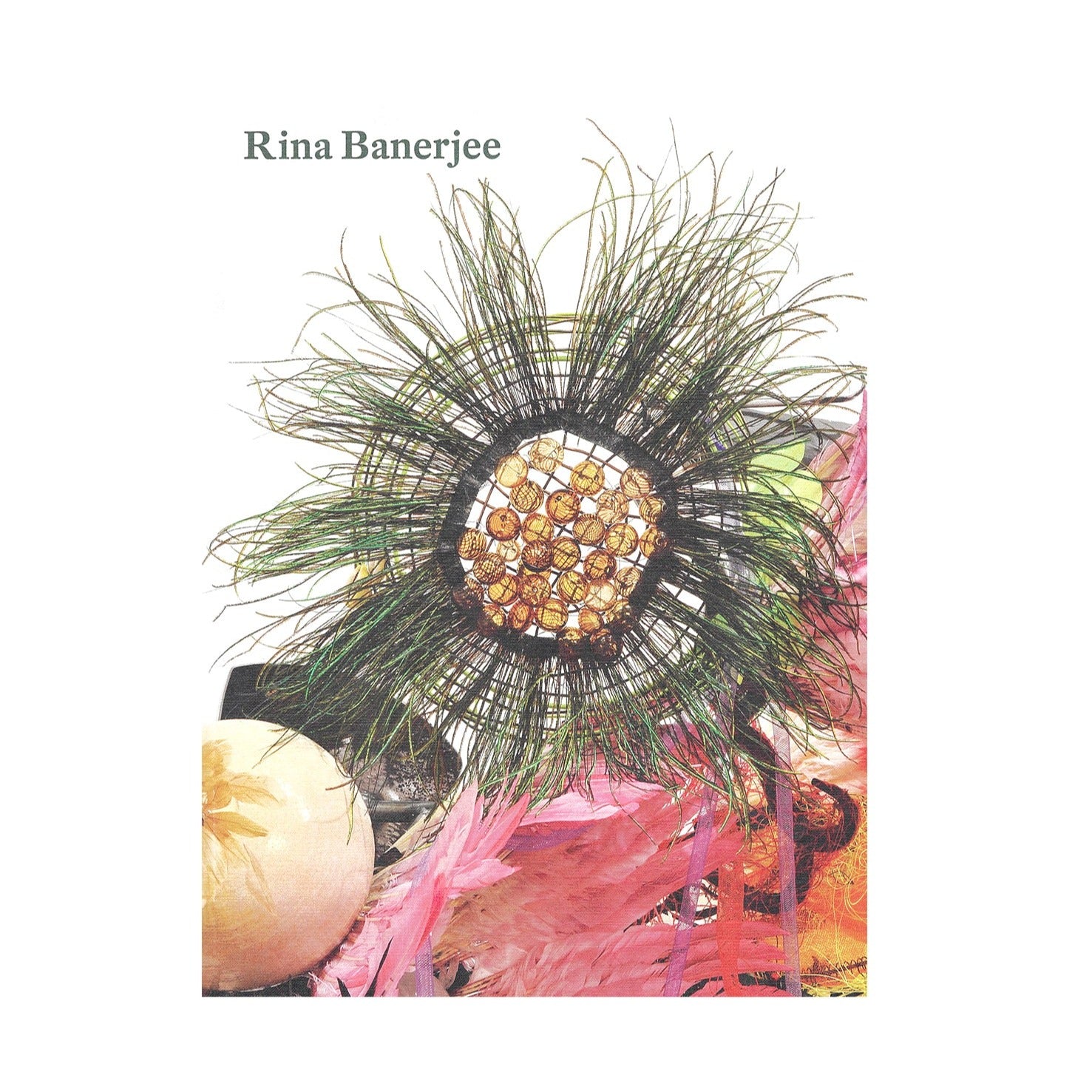 Rina Banerjee - Collectif