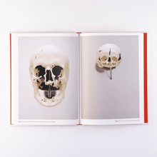 Load image into Gallery viewer, Gabriel de la Mora - Alegorías Capilares