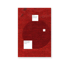 Load image into Gallery viewer, Gabriel de la Mora - Sound Inscriptions on Fabric