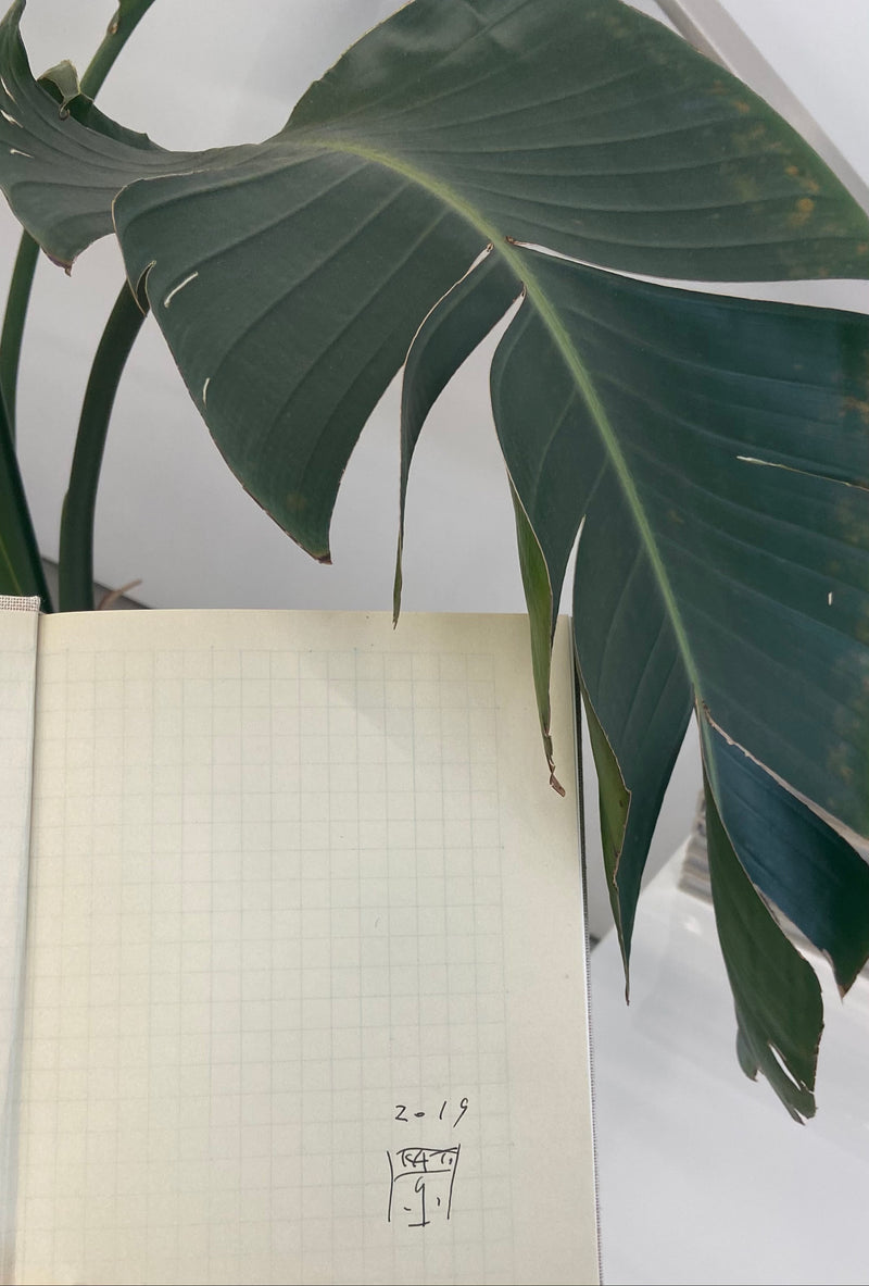 Izumi Kato - Drawings & Paper Works