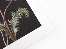 Load image into Gallery viewer, Laurent Grasso - Dandelion