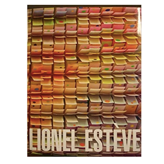 Lionel Estève - Self Titled Perrotin Monograph