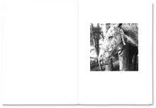 Load image into Gallery viewer, Moyra Davey & Peter Hujar - The Shabbiness of Beauty