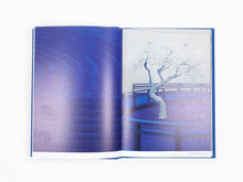 Load image into Gallery viewer, Daniel Arsham - Moonraker Time Dilation