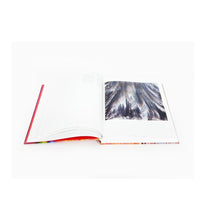 Load image into Gallery viewer, Bernard Frize - Sans Repentir