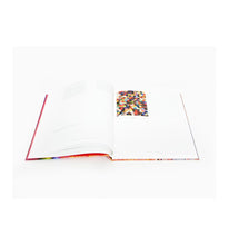 Load image into Gallery viewer, Bernard Frize - Sans Repentir