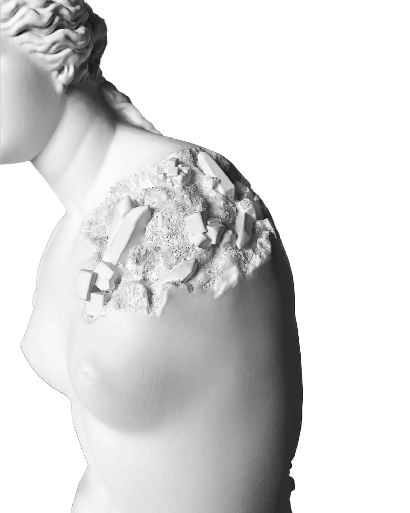 Daniel Arsham - Eroded Venus de Milo