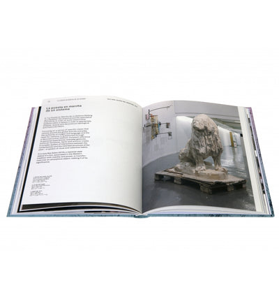 Iván Argote - Let's Write a History of Hopes (Available Signed)