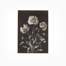 Load image into Gallery viewer, Laurent Grasso - Daisy (Available Framed)