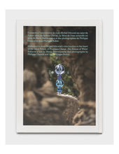 Load image into Gallery viewer, Jean-Michel Othoniel - Le Rêve de L'eau au Palais Idéal Facteur Cheval