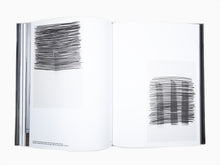 Load image into Gallery viewer, Lee Bae - Self Titled Perrotin Monograph